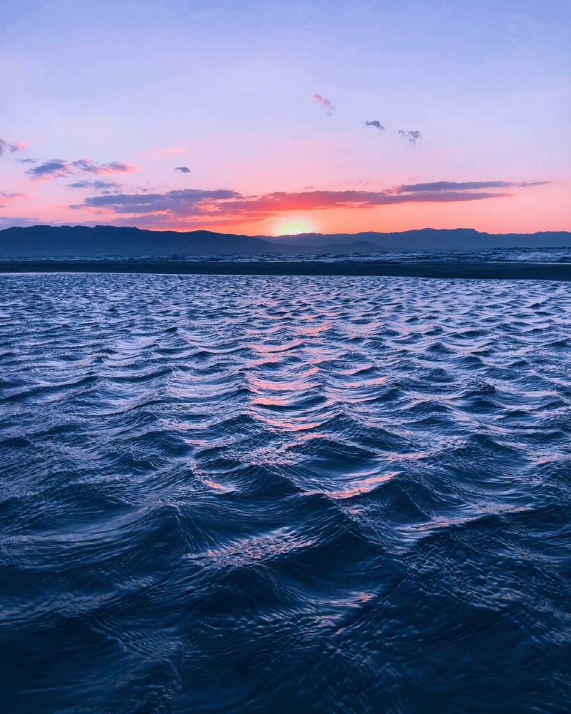 XaviMesh's tweet photo. -Puntetes de mar—
〰️〰️〰️〰️
#atardeceresbonitos
#atardecer🌄
#atardece
#atardeceresmagicos🌅
#atarder
#sunsetphotographs
#sunset_hunters
#sunsetphotos
#sunset_pics_
#sunsetsnipers
#puestadesol🌅
#all_sunsets🌅
#igsunsets
#postadesolespectacular
#instasu… https://t.co/W4qGEuWLuc https://t.co/PzZN9CPlcd