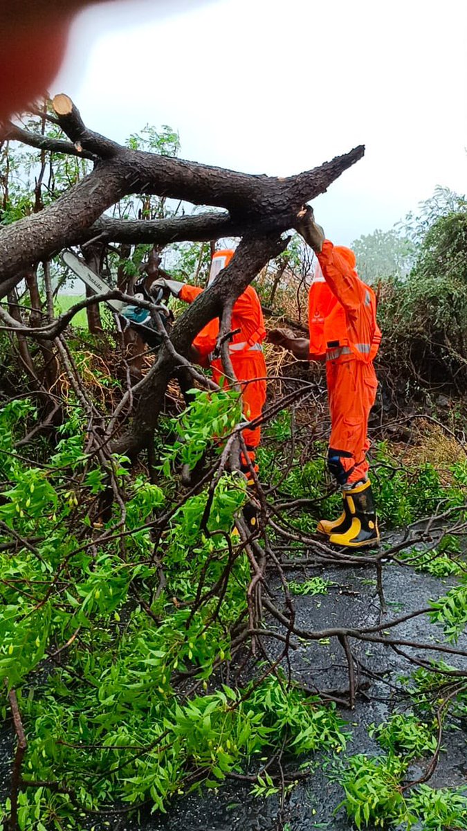 satyaprad1's tweet photo. #CycloneTauktae UPDATE
18/5/21- @NDRFHQ
#RestoringNormalcy
#SERVICEwithCARE🙏🏻
🔸#NDRF @ WORK 24x7
🔸Chotila,Surendernagar,Guj
🔸Helping citizens/local adm
🔸Road clearance
🔸Restoration work etc
@PMOIndia @HMOIndia @PIBHomeAffairs @BhallaAjay26 @ANI @PIBAhmedabad https://t.co/45SxfV8fxR