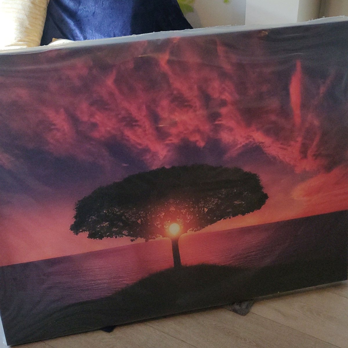 poolshir's tweet image. Received my prize! Thanks a lot @PokerPaint for this addition to our new home which I can hang when we're done with everything! I love it!

#poolshir #TryingToStay #utrecht #pokerpaint