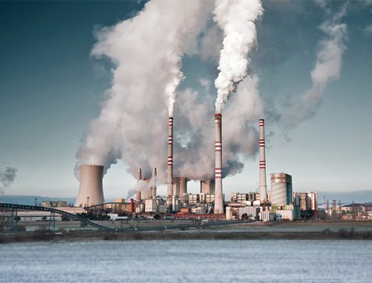 ayudaralplanet1's tweet image. Getting @UKEF out of fossil fuels by 2021 is the bare minimum before the UK hosts #Cop26. #TheTimeIsNow #FinanceinCommon2020