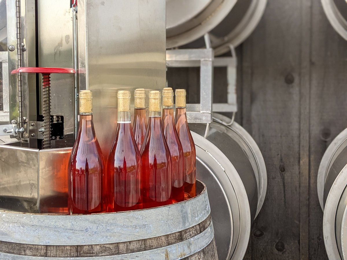 RedtailPEC's tweet image. Bottling day for this #Natural beauty 🍑