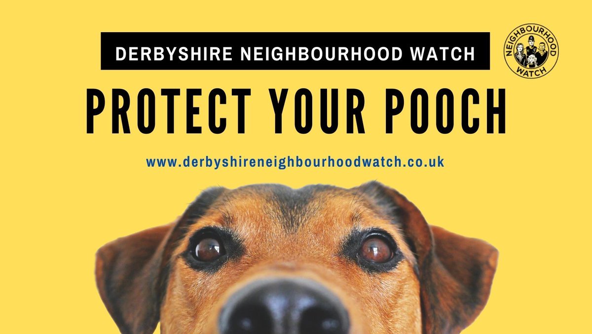 Did you know dog theft is not defined as a specific crime, with dogs classed 
as ‘property’ under the Theft Act 1968. Help make dog theft a specific criminal 
offence by SIGNING THIS PETITION closing on 20th May. buff.ly/3jJaLp4
#protectyourpooch #Derbyshire #DogTheft