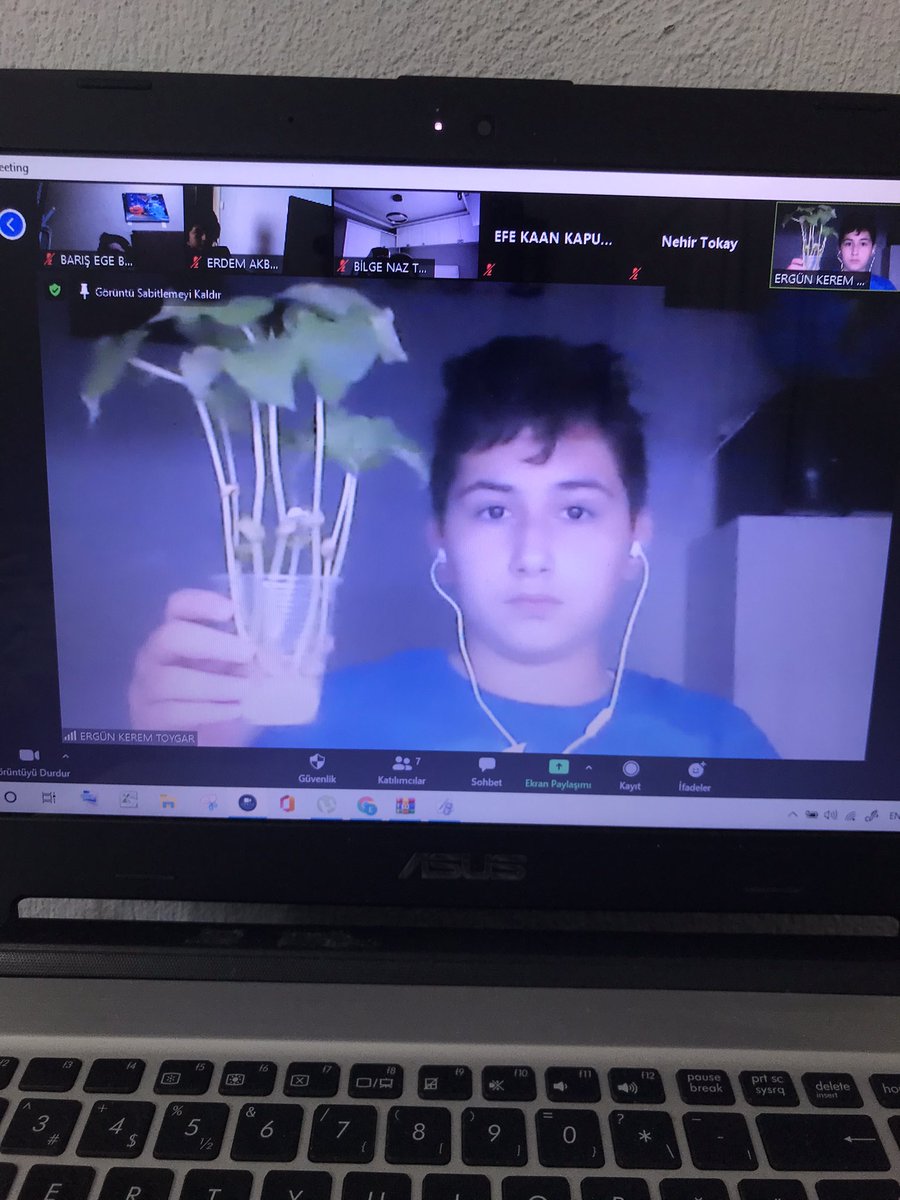 7.sınıflarımızla Fen bilimleri dersimizde fasulye,mercimek,nohut,mısır çimlenmesi gerçekleştirdik. Bir tohumun çimlenebilmesi için neler gerekli olduğunu öğrendik ☘️🌱🪴<a href="/kursatkayalak/">Kürşat Sadık KAYALAK</a> @ArifeKaraman6 <a href="/mftufekci/">Mehmet Fatih Tüfekçi</a> <a href="/DogaUskudar/">DOĞA KOLEJİ ÜSKÜDAR KAMPÜSÜ</a> <a href="/esmatozun/">Esma Karagöz Tözün</a>