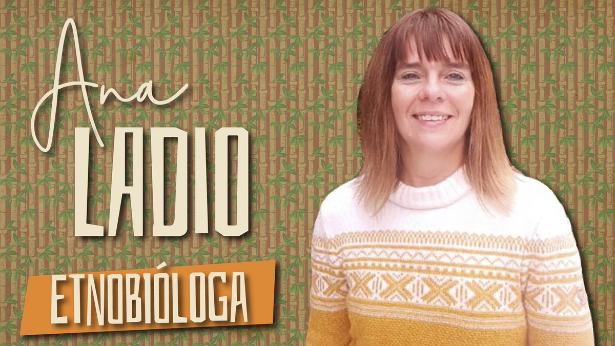 En este #MartesDeCientíficas, estamos muy felices de traerles nuestra primera colaboración: hoy <a href="/gabyplantbio/">Gabriela Auge</a> de @argplantwomen, nos presenta a <a href="/LadioAna/">Ana Ladio</a>, etnobióloga.
Ana dirige el grupo de Etnobiología del Instituto de Investigaciones en Biodiversidad y Medioambiente @Inibioma2