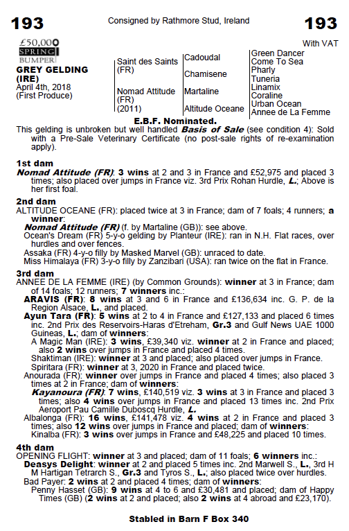 bloodstocknews's tweet photo. 🌟 Leading the way so far on Day 2 of the @GoffsUK Spring Store Sale is LOT 193, who gets knocked down to   Aiden Murphy / @kimbaileyracing for £105,000 🌟

🐴 Consigned by Rathmore Stud the 3yo gelding is by @Haras_d_Etreham's SAINT DES SAINTS #readallaboutit https://t.co/eYOtIpIiJg