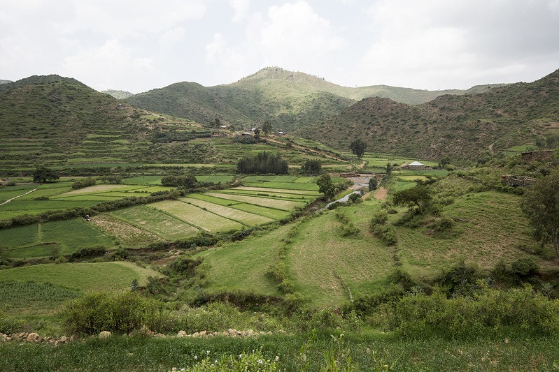 FAOclimate's tweet image. Hurry registration closes TODAY! 

forms.office.com/r/CQYLTS4Bvf

On May 26 @FAO &amp;amp; @FTA_CGIAR present the NAP #Forestry &amp;amp; Fisheries guide on Ecosystem-Based Adaptation #KnowledgeDay  

Hosted by @FriendsofEbA 

fao.org/in-action/naps… 

@Adapt_Community @iki_bmu @FAOfish @FAOForestry