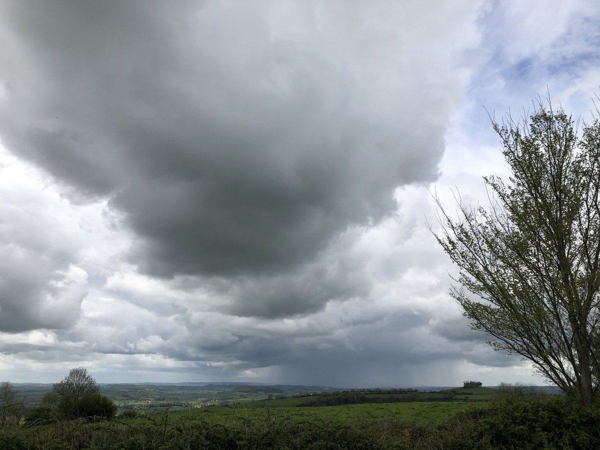 BennyBoygr's tweet photo. Todayโs new place for our zoomies was not boring at all,loads of space, sweet grass with buttercups and daisies. Weโve lived here 15 years and never been ๐
Will now be coming often when we donโt go further afield. Great views, saw this rain cloud #sharpexit https://t.co/9NXG1kPqZr