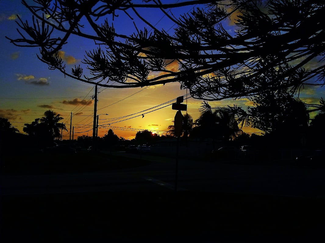 JorgeGNYCMIA's tweet photo. @JorgeG179 #Miami #Sky #Clouds #Sunset #Palmtrees #Trees #utilitycables #photodaily #photography #photooftheweek #photosession #skyphotography #streetphotography #lensflare #sunflare #SunetOneEvening #riseandshine https://t.co/bh7kjoi4SG