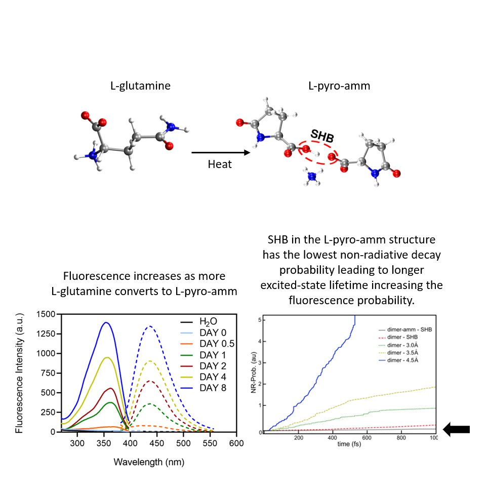 Our latest paper in <a href="/PNASNews/">PNASNews</a> combined experimental data with #moleculardynamics to show that short hydrogen bonds enhance nonaromatic #protein-related #fluorescence <a href="/cebcambridge/">CEB Cambridge</a>  pnas.org/content/118/21…