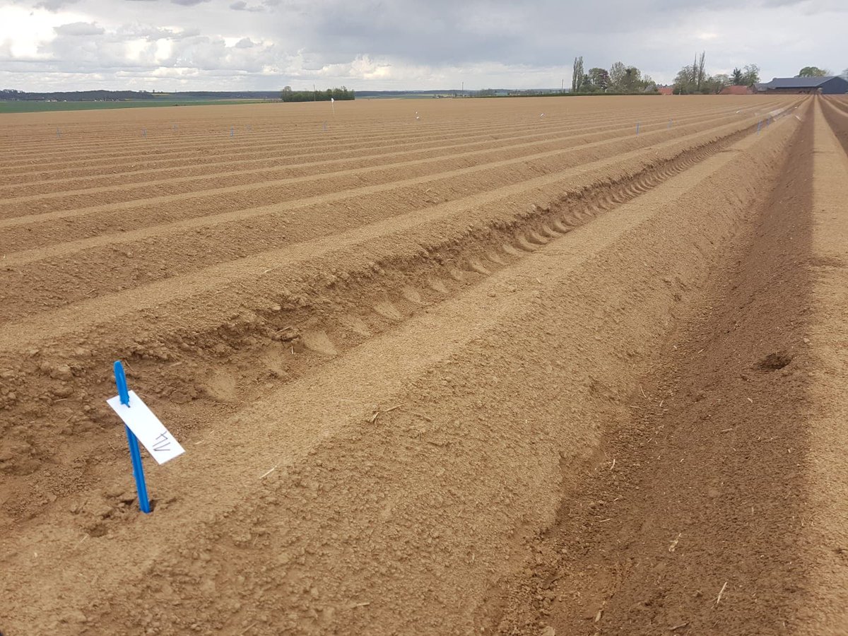 Novalis Terra tweet media