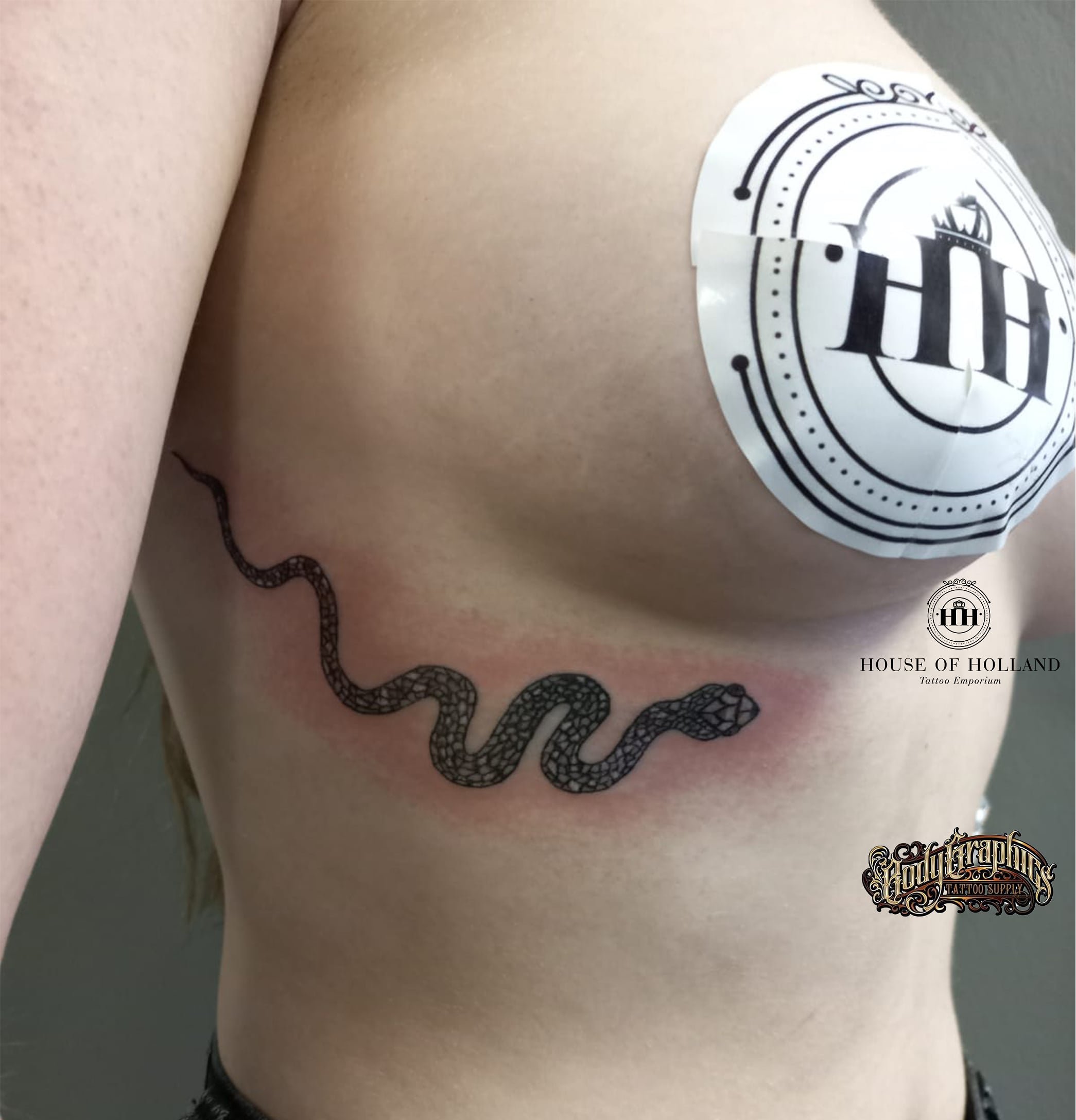 tattooporn New Leaf Tattoo Emporium🍃 (@of_emporium) / X