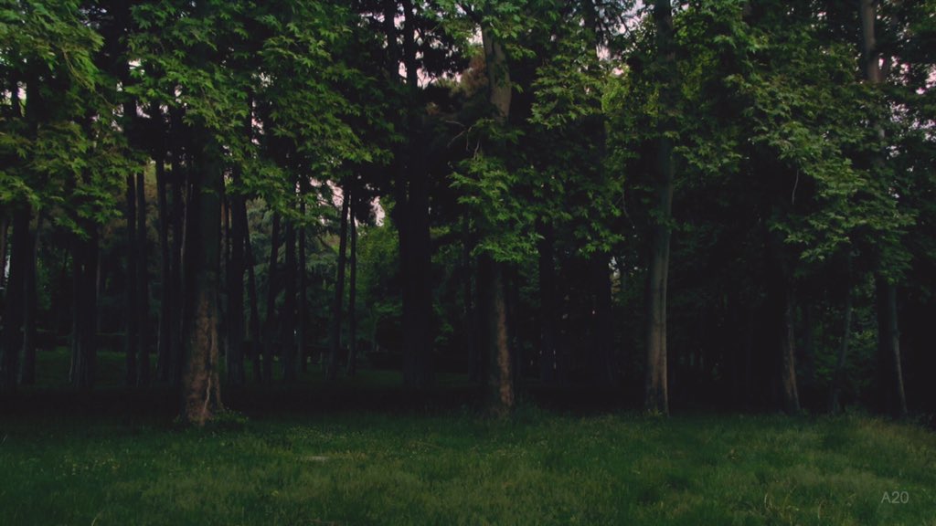 AlecTwenty's tweet image. #OneSharedHome