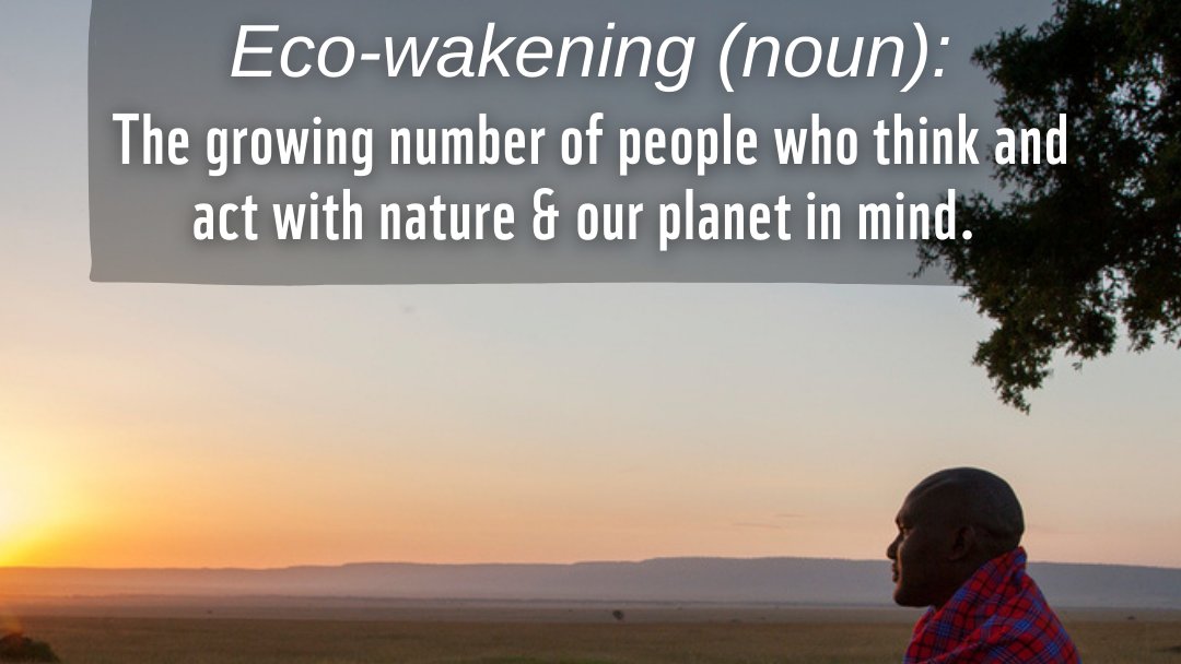 WWF South Africa tweet media