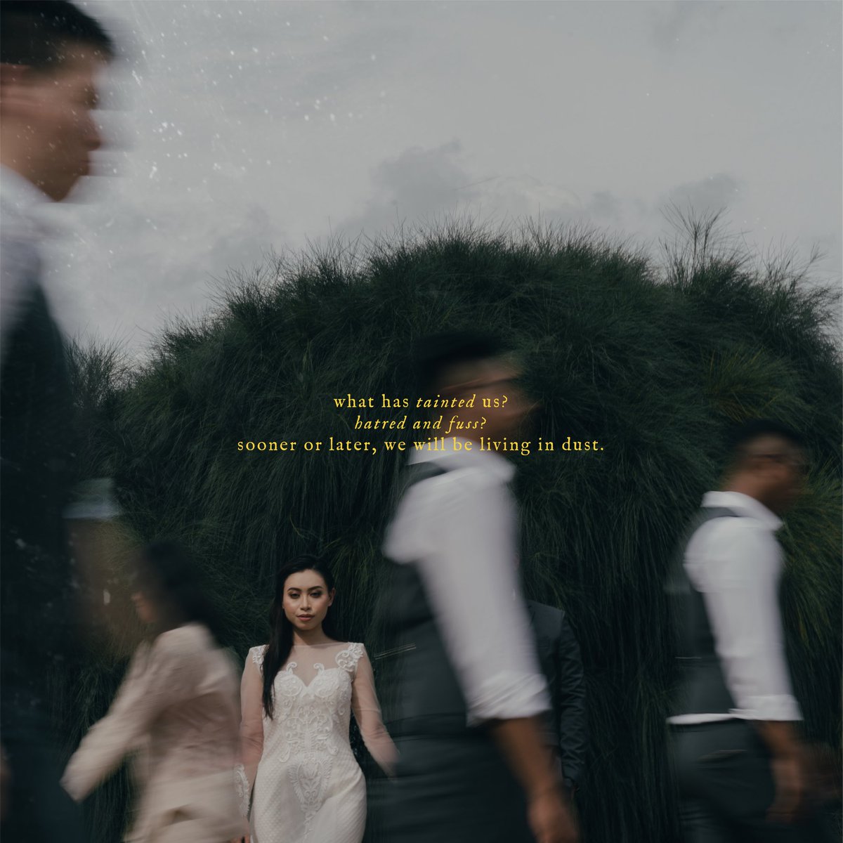 rocketvows's tweet image. 