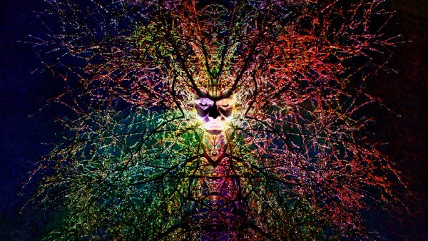 Astralseid tweet media