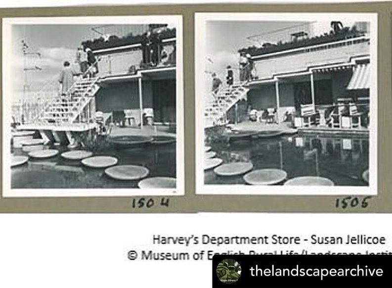 Women In Landscape Design tweet media