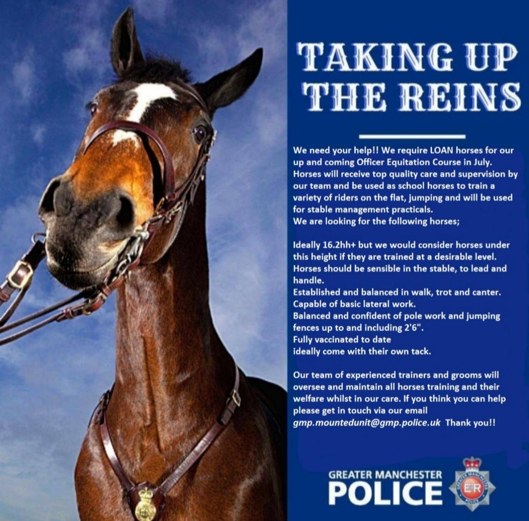 gmpolice's tweet image. Our Tactical Mounted Unit need your help 🐴.

They're looking for some loan horses for their Officer Equitation Course.

If you think you can help then please get in touch via email: gmp.mountedunit@gmp.police.uk 

@BritishHorse