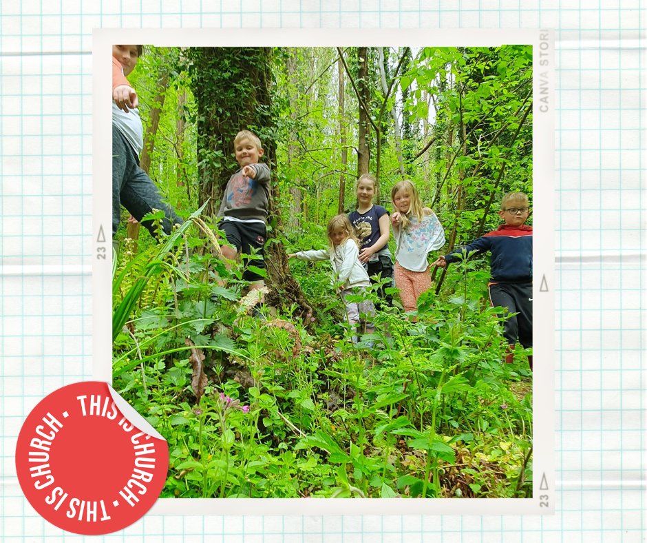 Vineyard 53 tweet media