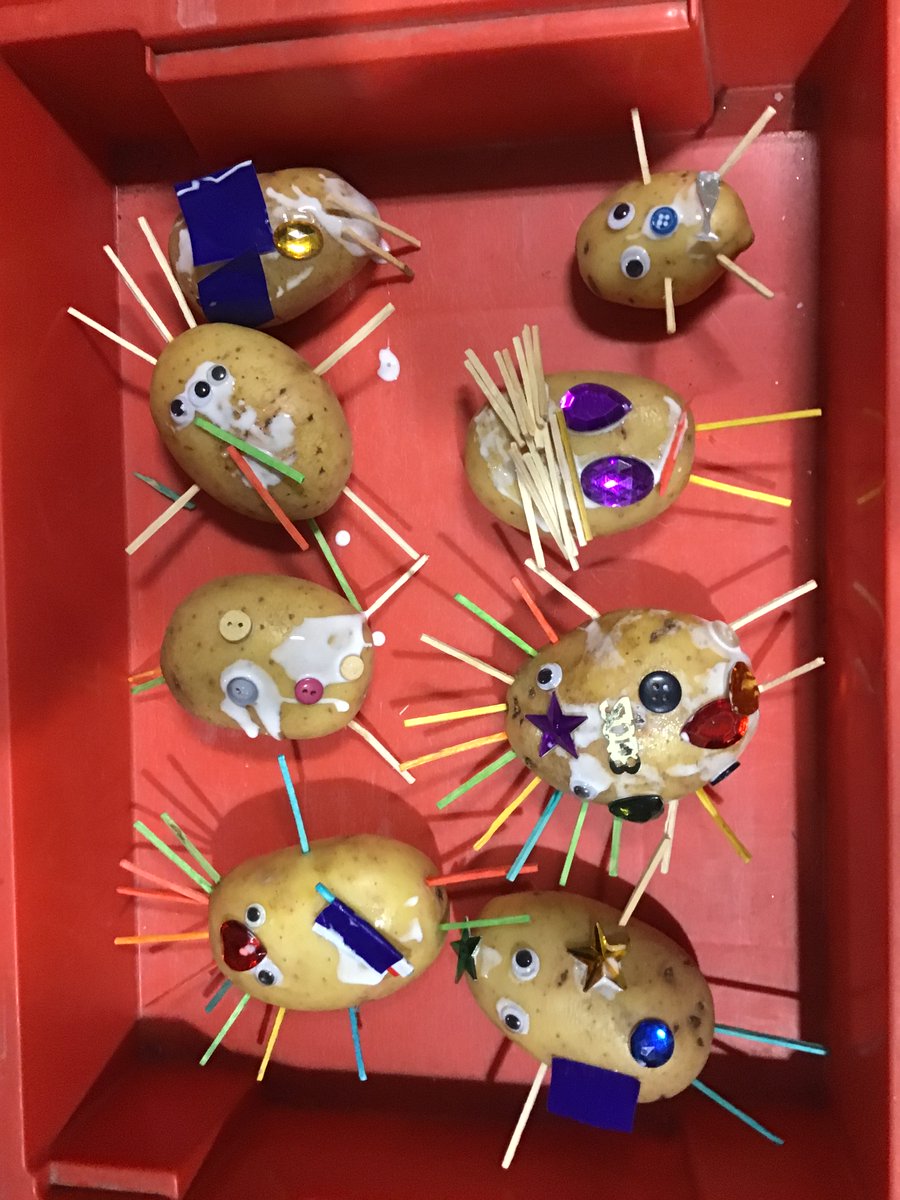 Children in Reception have been making their own Supertato inspired by the story of the same name. They designed their own Supertato first &amp; thought about the qualities of a superhero. We think they look fantastic! 
#eyfs #eldwick #design #inspired #supertato #ead  #superhero