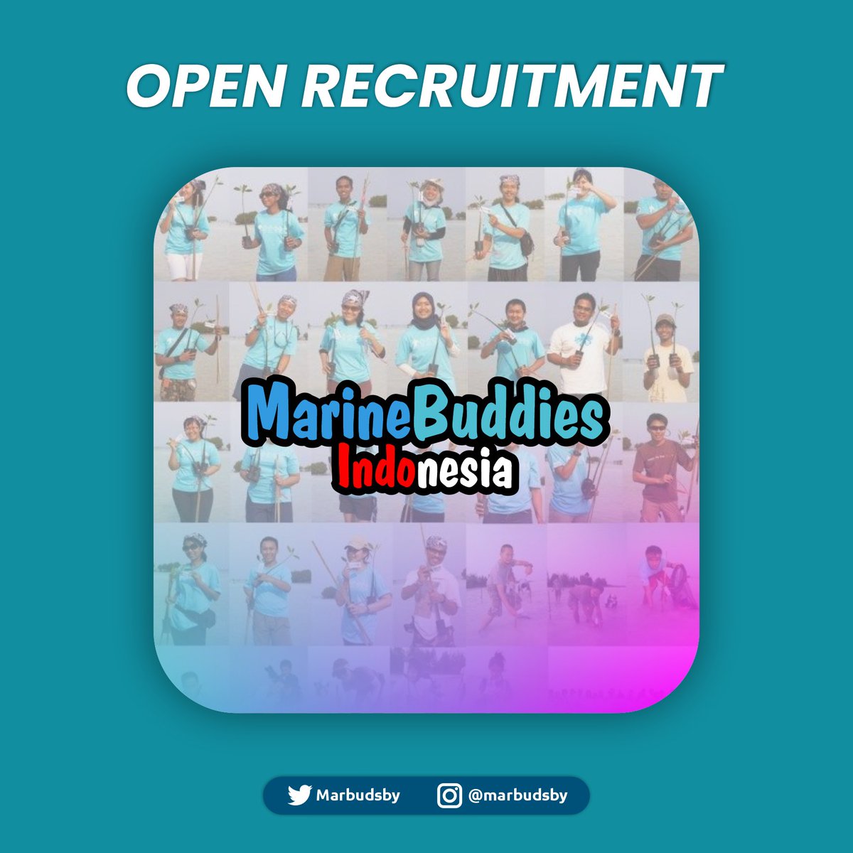 Marine Buddies Sby tweet media