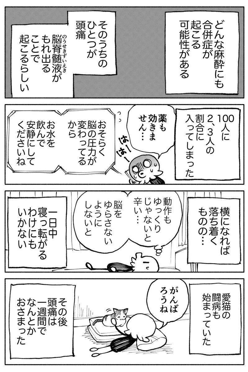 腰椎麻酔を受けた話と愛猫との思い出
(2/2) 