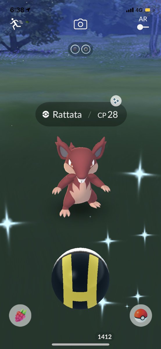 Rattata