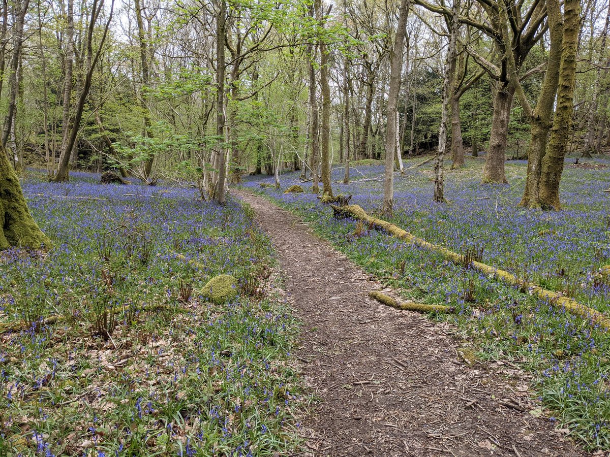 Helen Kay tweet media