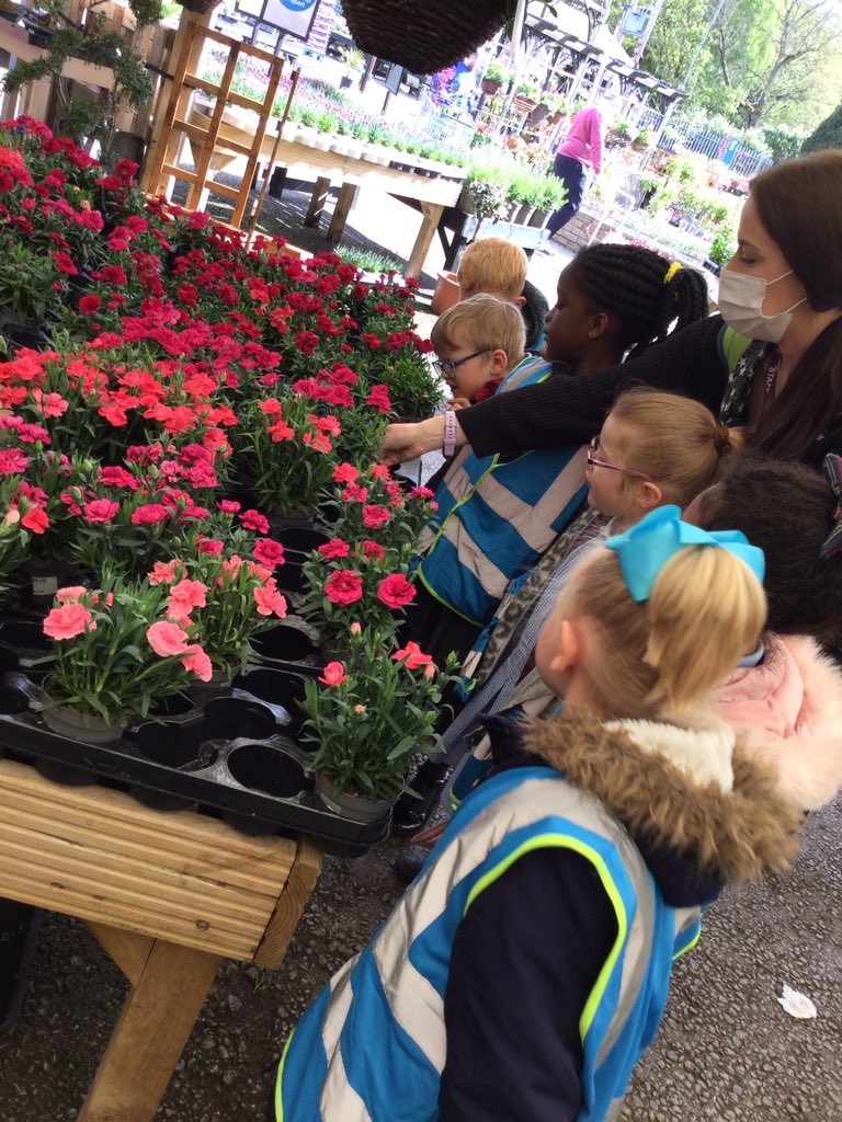 Year1HolyFamily's tweet photo. We saw lots of beautiful flowers at the garden centre 🌺 https://t.co/DFUWtOjK4B