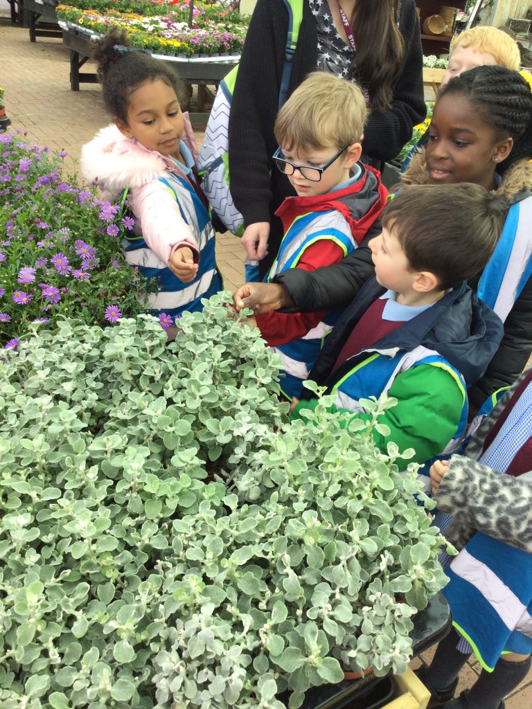 Year1HolyFamily's tweet photo. We saw lots of beautiful flowers at the garden centre 🌺 https://t.co/DFUWtOjK4B