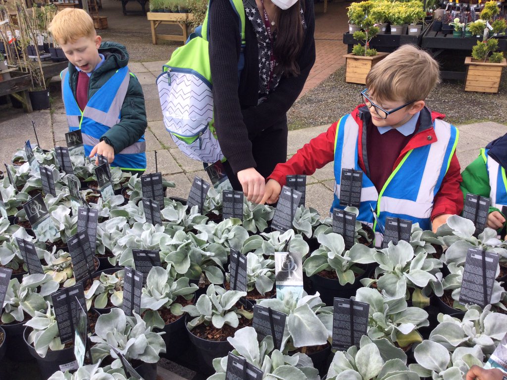 Year1HolyFamily's tweet photo. We saw lots of beautiful flowers at the garden centre 🌺 https://t.co/DFUWtOjK4B