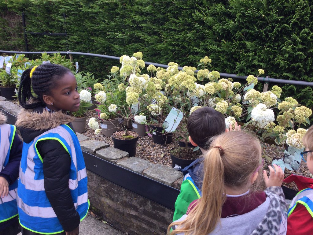Year1HolyFamily's tweet photo. We saw lots of beautiful flowers at the garden centre 🌺 https://t.co/DFUWtOjK4B