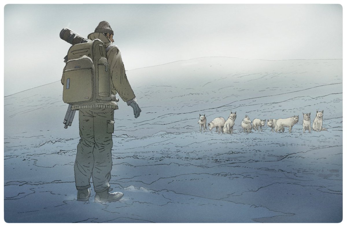 Un grand moment de nature et de photographie, en mots et en images dans le livre "Approche les animaux sauvages avec Vincent Munier" <a href="/Plumedecarotte/">Plume de carotte</a> 
Plus d'infos : plumedecarotte.com/product-page/a…