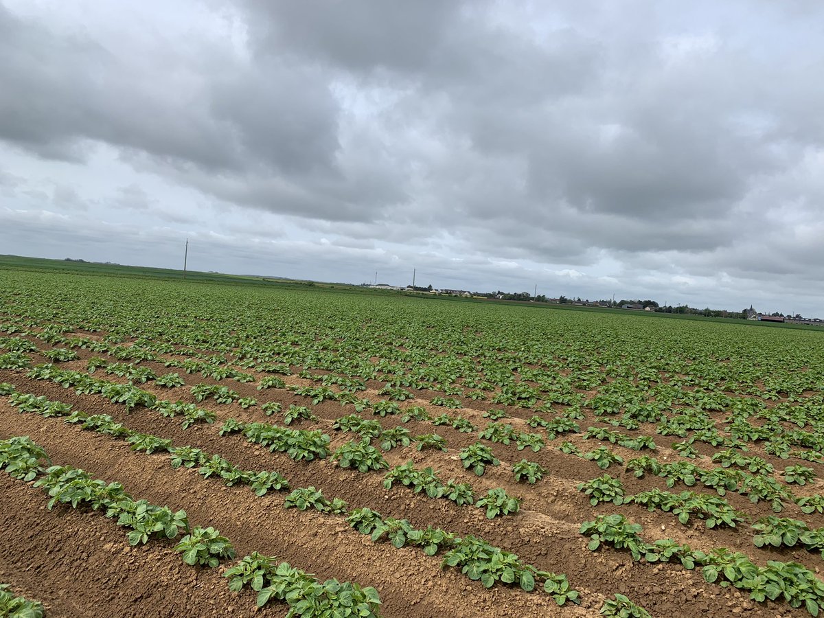 Aujourd’hui rdv avec la coopérative #bonneval pour suivre les #technologies installées sur les exploitations 🌱📲😊