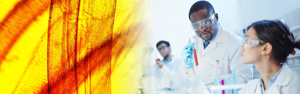 ASI_lab's tweet image. We specialise in therapeutic drug monitoring for #antipsychotic drugs, immunosuppressants, antibiotics and many more. Take a look here to find out more bit.ly/2qfWJ2X #DrugMonitoring