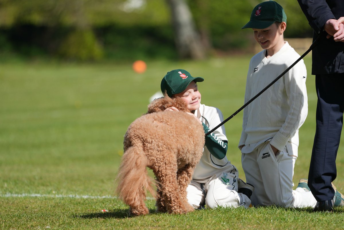 AldroSchool's tweet photo. #AldroTucker gets some attention from the resting batsman as the Headmaster chats to the boys during a cricket match. #LifeAtAldro #DogsOfAldro #AldroCricket https://t.co/0hEXsKde97