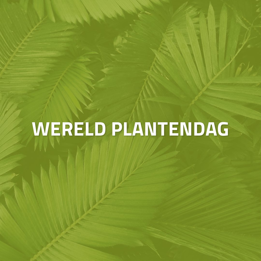 Op Plantendag is het de bedoeling zoveel mogelijk mensen gefascineerd te laten raken over planten en het belang van planten voor de maatschappij: onder andere in de landbouw, voedselproductie, bosbouw en afgeleiden zoals papier, hout en medicijnen. #wereldplantendag #plantendag