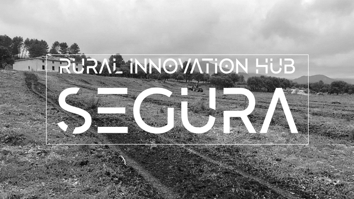 RuralBridge_ES's tweet photo. Nos aliamos con @olivarecologico para poner en marcha el Centro de Innovación Rural SEGURA. Un espacio para acercar la tecnología al #mediorural en la Sierra de Segura. Agricultura y ganadería ecológica, gesti��n forestal sostenible y digitalización. Tres pilares #desarrollorural https://t.co/0XRuGqjdTN