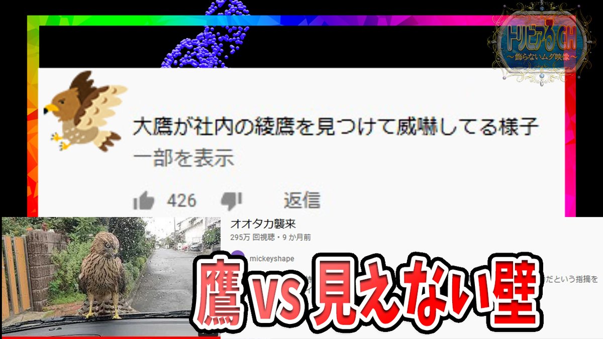 TrivialCh's tweet photo. ▶️ 伝説になりそうなYouTube動画-素敵コメント集『オオタカ襲来』(mickeyshape)より

車に突撃

https://t.co/8YNWEFziXE

#トリビアるCH
#コメント欄 https://t.co/uadUhzFe5x