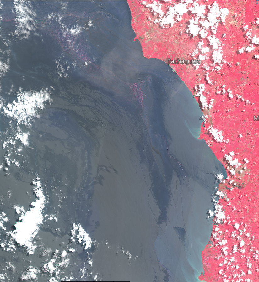 diodon321's tweet photo. El Lago es difícil de analizar con imágenes de satélite. Aquí una foto de la costa oriental del 15MAYO. Muchos elementos se sobreponen. La vegetación está en rojo y se pueden ver las masas flotantes del "verdín" del lago (teñidas de rojo en la foto). Puede ser también bora
👇 https://t.co/SIhDCs74iW