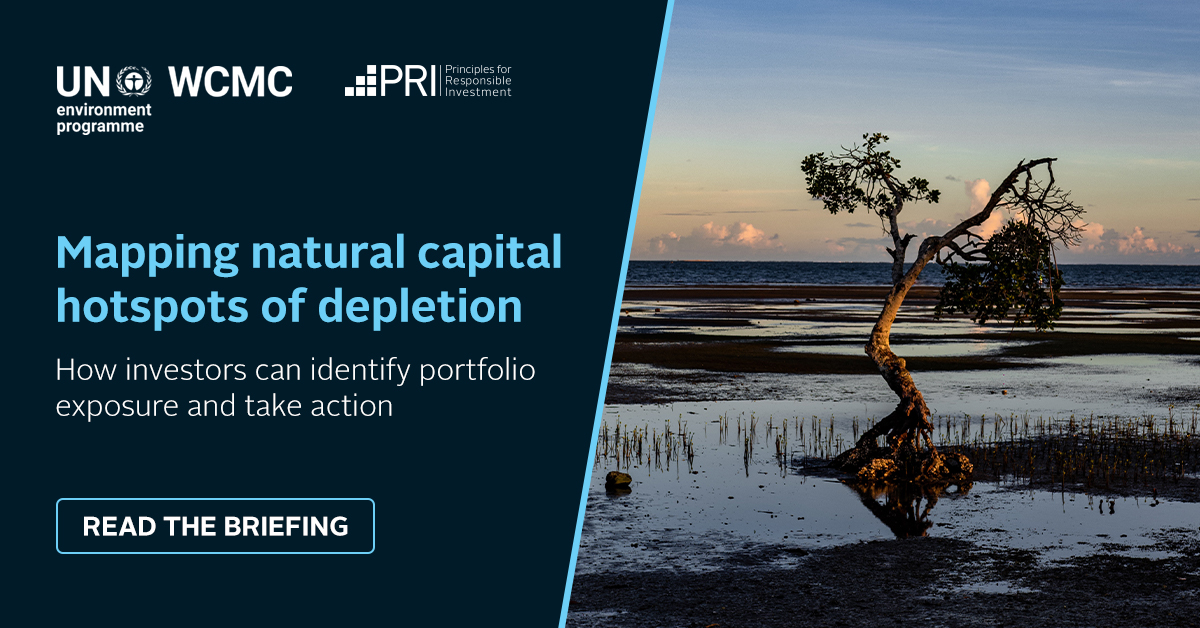 PRI and @unepwcmc have also developed a test case which provides investors with an example on how to use the #ENCORE tool to identify potential exposures in their portfolios to natural capital depletion. Have a look at the test case here: unpri.org/download?ac=13…