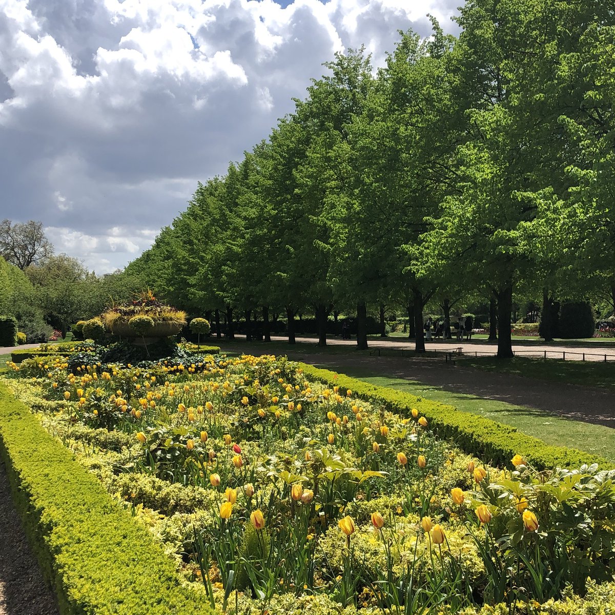 At @ArtsHealthECRN and @NetworkMARCH we're asking people to share creative activities for #CWW21. This week, I finally created my @LondonMarathon training plan (eek), but no one needs to see that, so here is Regent's Park looking beaut on my run yesterday 🌻 #CreativityCares