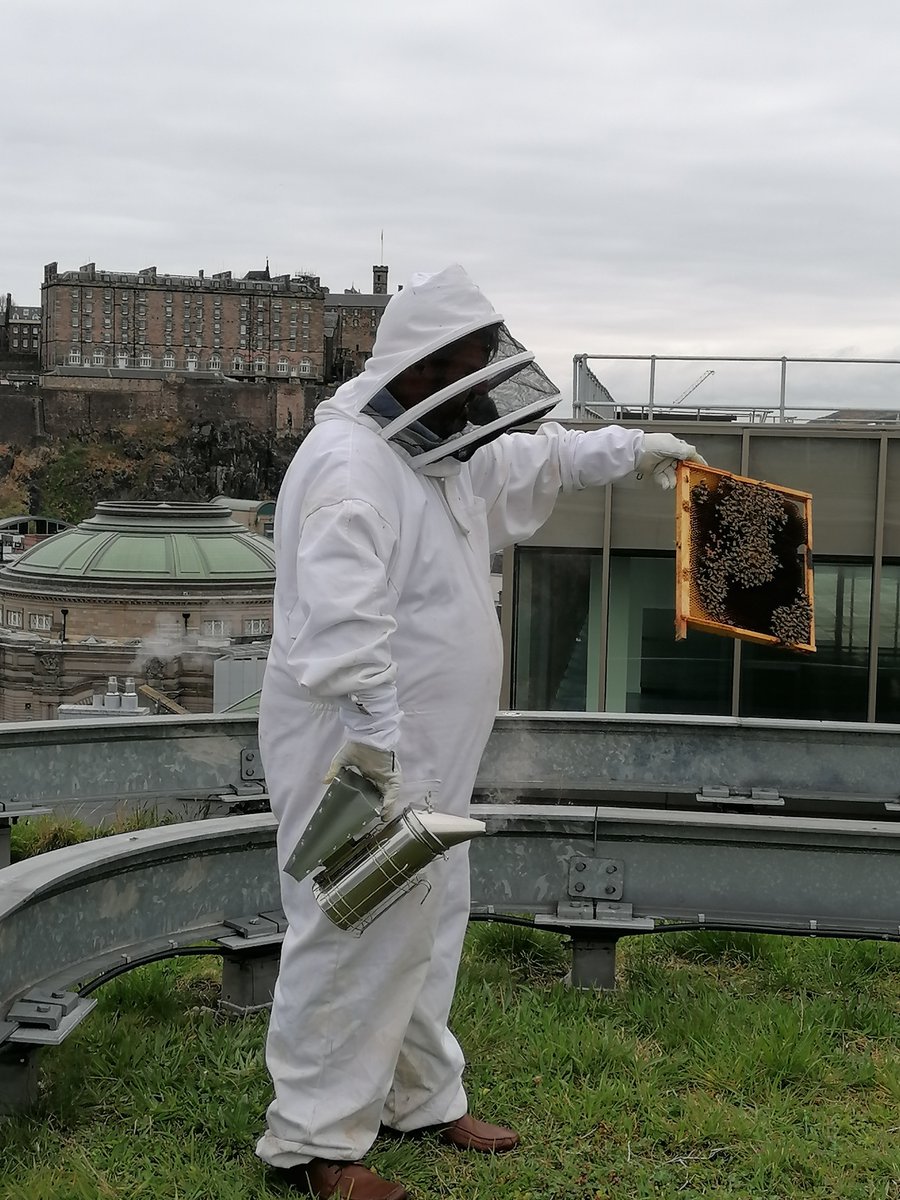 AtriaEdinburgh's tweet photo. The Atria bees had a photoshoot with @thetimes last week and got featured on pg4. 

#Sustainabilityproject https://t.co/I2rpwPiaZM