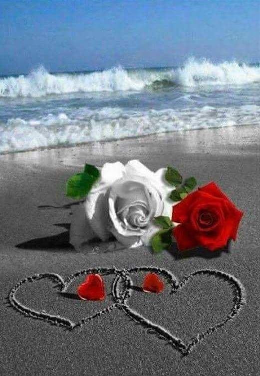 Rozane_Costa's tweet photo. #Bíblia #Evangelho #TestemunhoDeJesus #objetivo #Decisão #Hoje #NovoDia #QUATROAMORES #AmoAsDuas #Sl37DelíciasDoSenhor #Hoje #Afeição #Construir #Permanecer @RosaMar14112784 @Paulo97813048 #girassóis #geraçãoy #HistoriaConectadas #EducadorEspiritoSanto #cura https://t.co/u79C1TkE6p