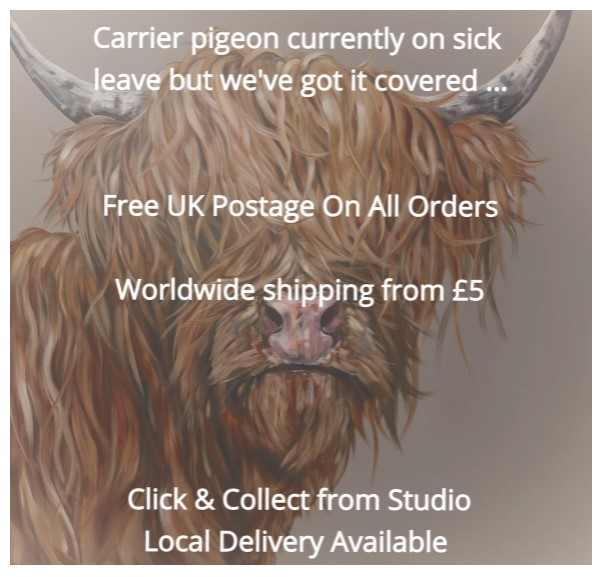 FennerSam's tweet image. shoutout.wix.com/so/6bNb-3Fya?l…