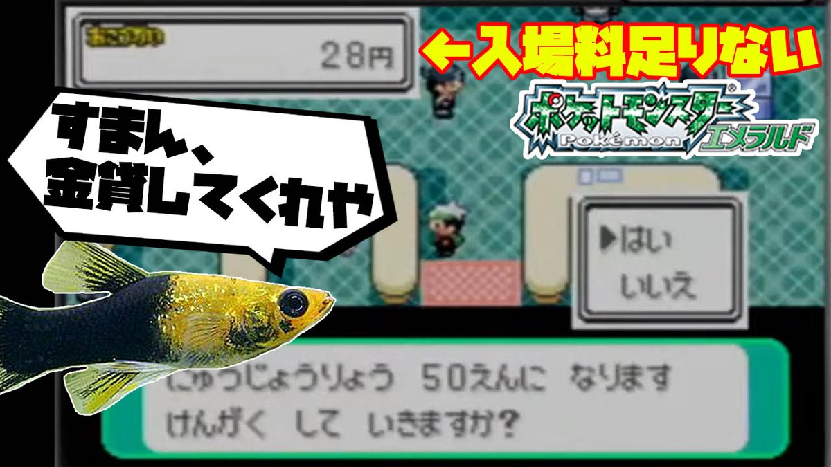 【ハイライト｜39h~】先行きが不安なお魚と視聴者でポケモンクリア youtu.be/52rUz2q9fUg