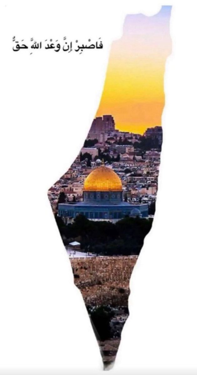 p_qatari's tweet image. 