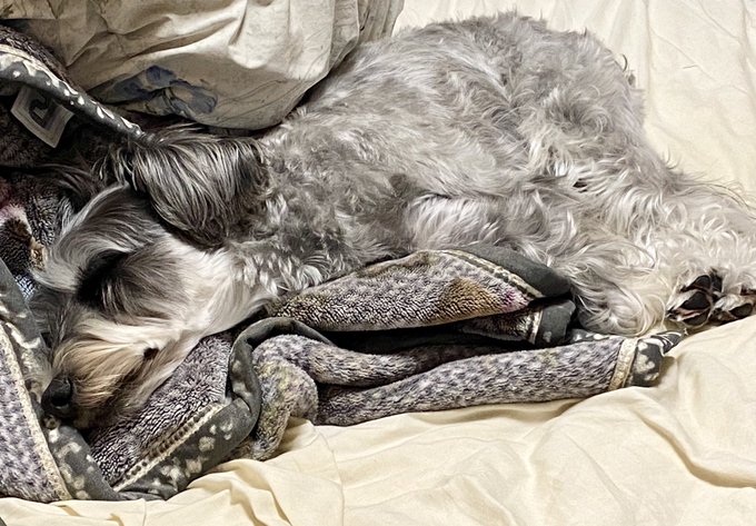 ใ่
นใใฃใฑใใงใชใฉใใฏใน๐ถ๐ถ