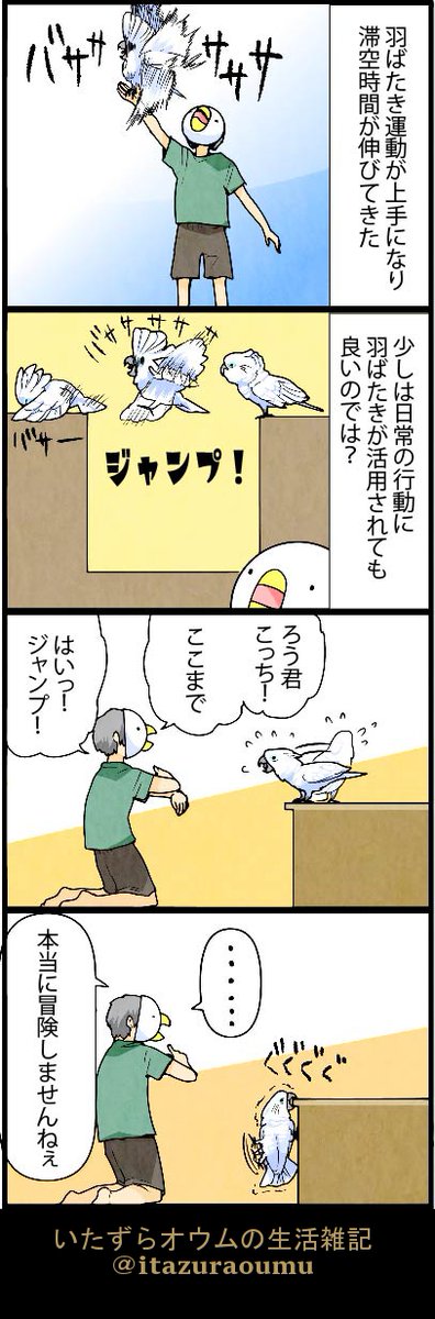 オウムとジャンプ 