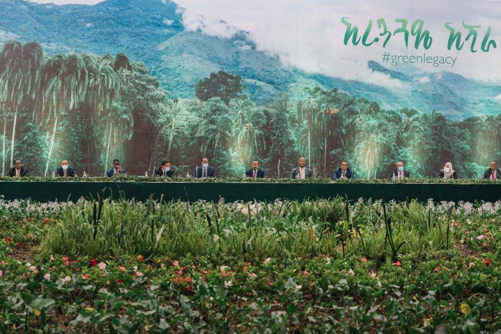 leatn22's tweet image. Within 7 years years on our green legacy initiative #50billion seedings will be planted. .  #GreenLegacy #Ethiopia @bpolitics @BBCAfrica @HouseForeign @CNNAfrica @AJEnglish @AsstSecStateAF @EUSR_Weber @JosepBorrellF @StateDept @FCDOGovUK @AFP