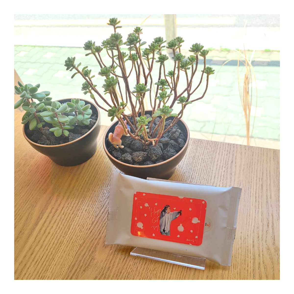 #은지원 생일기념 
“망원다방” 카페이벤트

거울 샘플 도착🥰
이보다 더 완벽할 수는 없다!!!

<a href="/g1_gone_g1/">은빠</a> 님의 금손은 사랑입니다.

귀염뽀짝 손거울 겟하려면

6월7일~6월13일
망원다방으로 놀러 오세요♥️

#은지원0608생일축하해
#殷志源0608生日快乐
#殷志源 #EUNJIWON